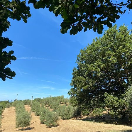 La Casina Della Quercia, Your Tuscan Oak Tree House Osteria Delle Noci المظهر الخارجي الصورة