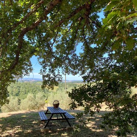 La Casina Della Quercia, Your Tuscan Oak Tree House Osteria Delle Noci المظهر الخارجي الصورة