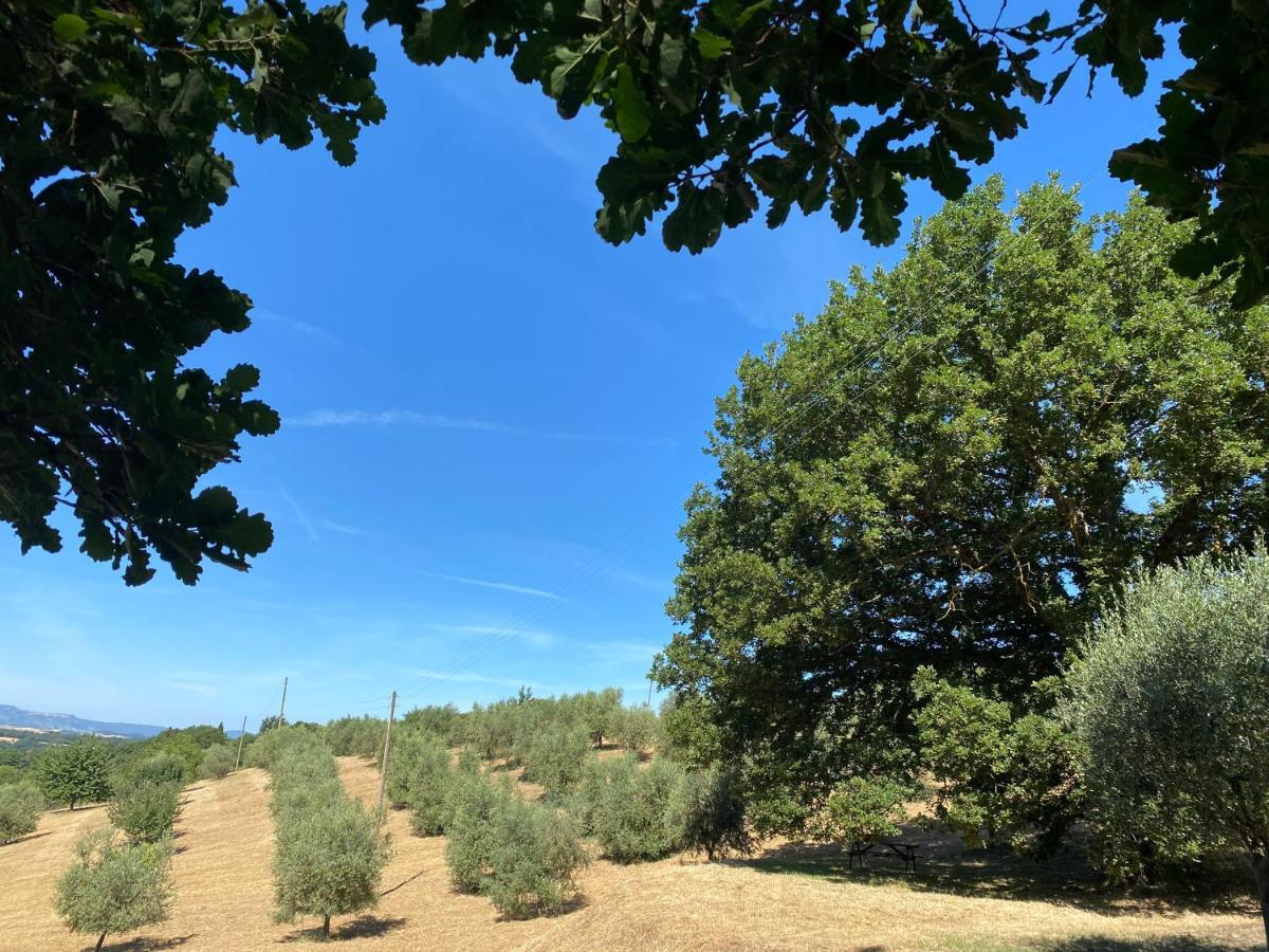 La Casina Della Quercia, Your Tuscan Oak Tree House Osteria Delle Noci المظهر الخارجي الصورة